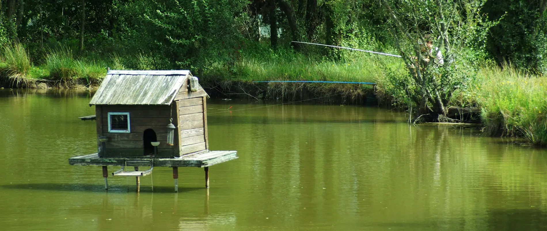l’Etang — photo 5